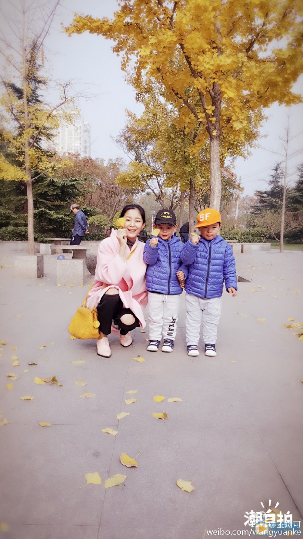王媛可双胞胎儿子照 王媛可高清写真_王媛可高清剧照