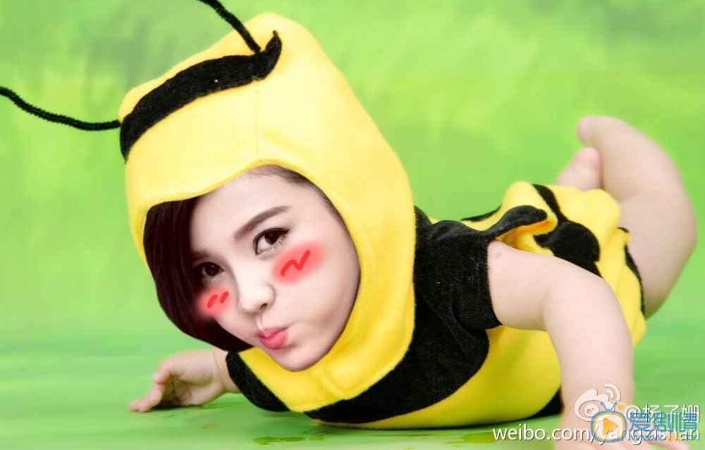 杨子姗逗比表情包 杨子姗高清写真_杨子姗高清剧照