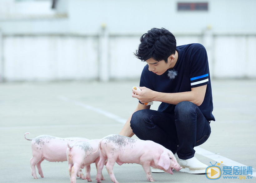 井柏然我们战斗吧 井柏然高清写真_井柏然高清剧照