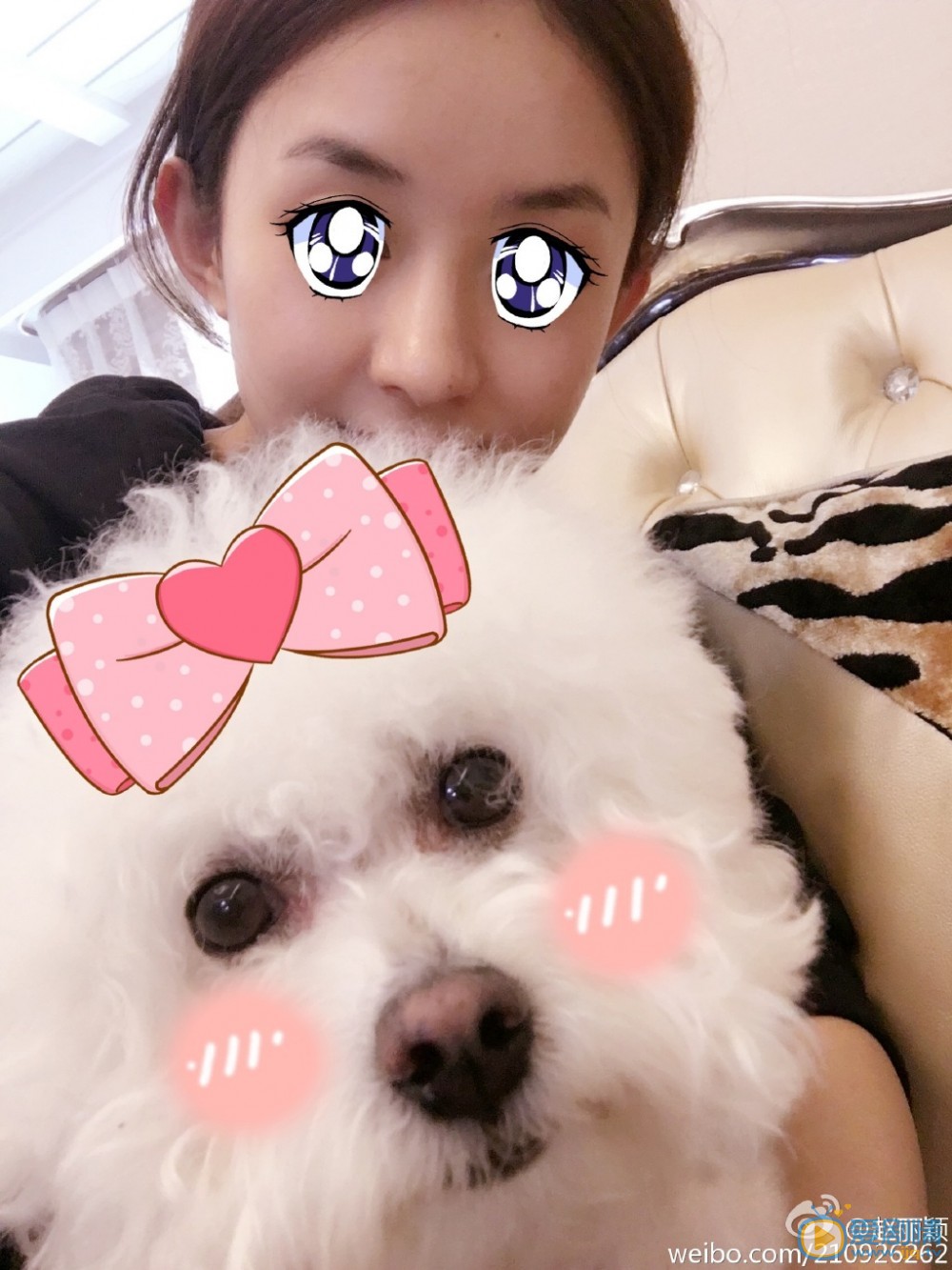 赵丽颖卖萌照 赵丽颖高清写真_赵丽颖高清剧照