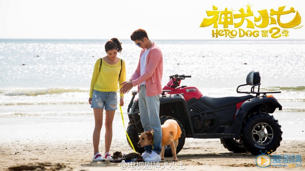 拉布拉多犬小七小七剧照 拉布拉多犬小七高清写真_拉布拉多犬小七高清剧照