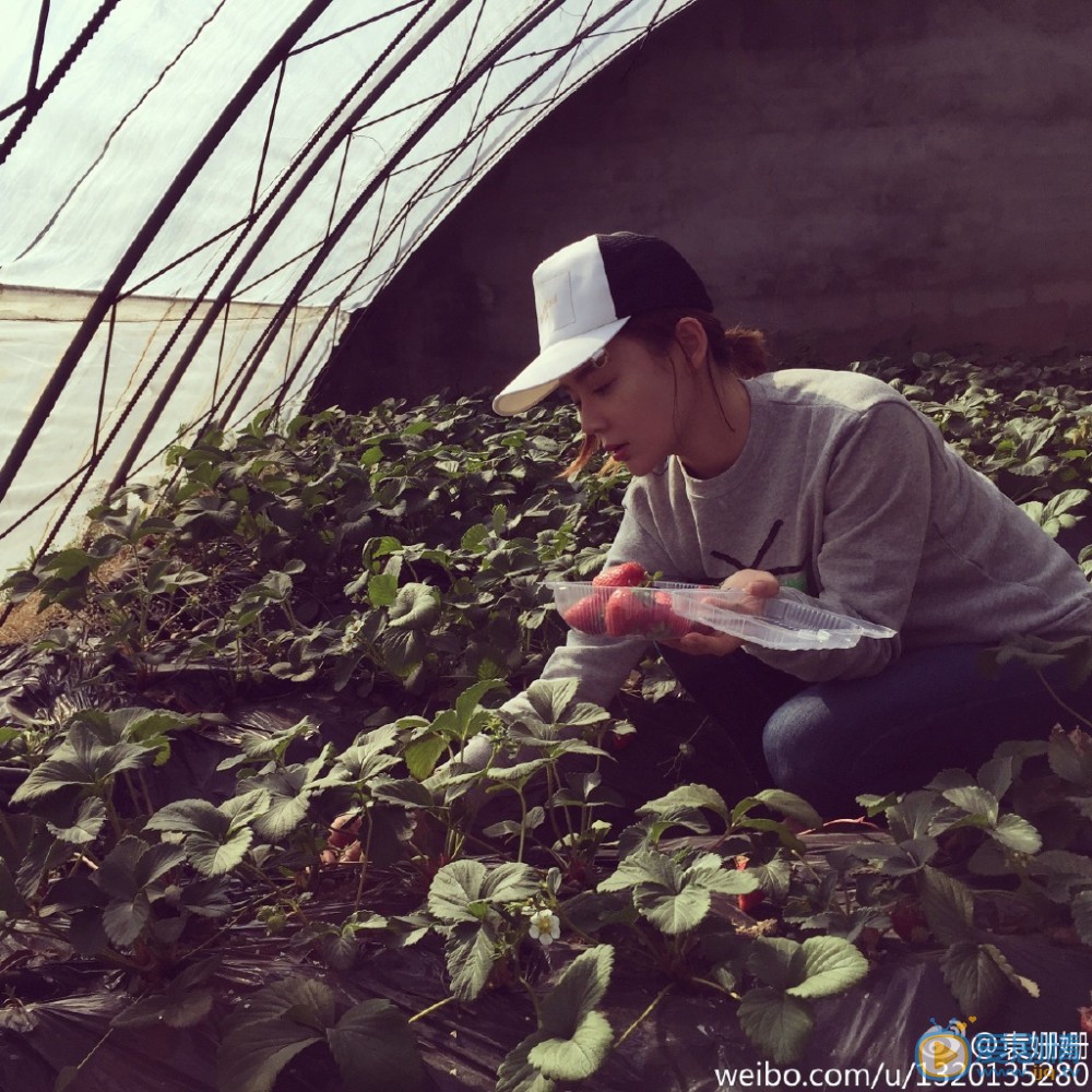 袁姗姗生活照 袁姗姗高清写真_袁姗姗高清剧照
