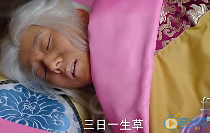 幻城分集剧情介绍
