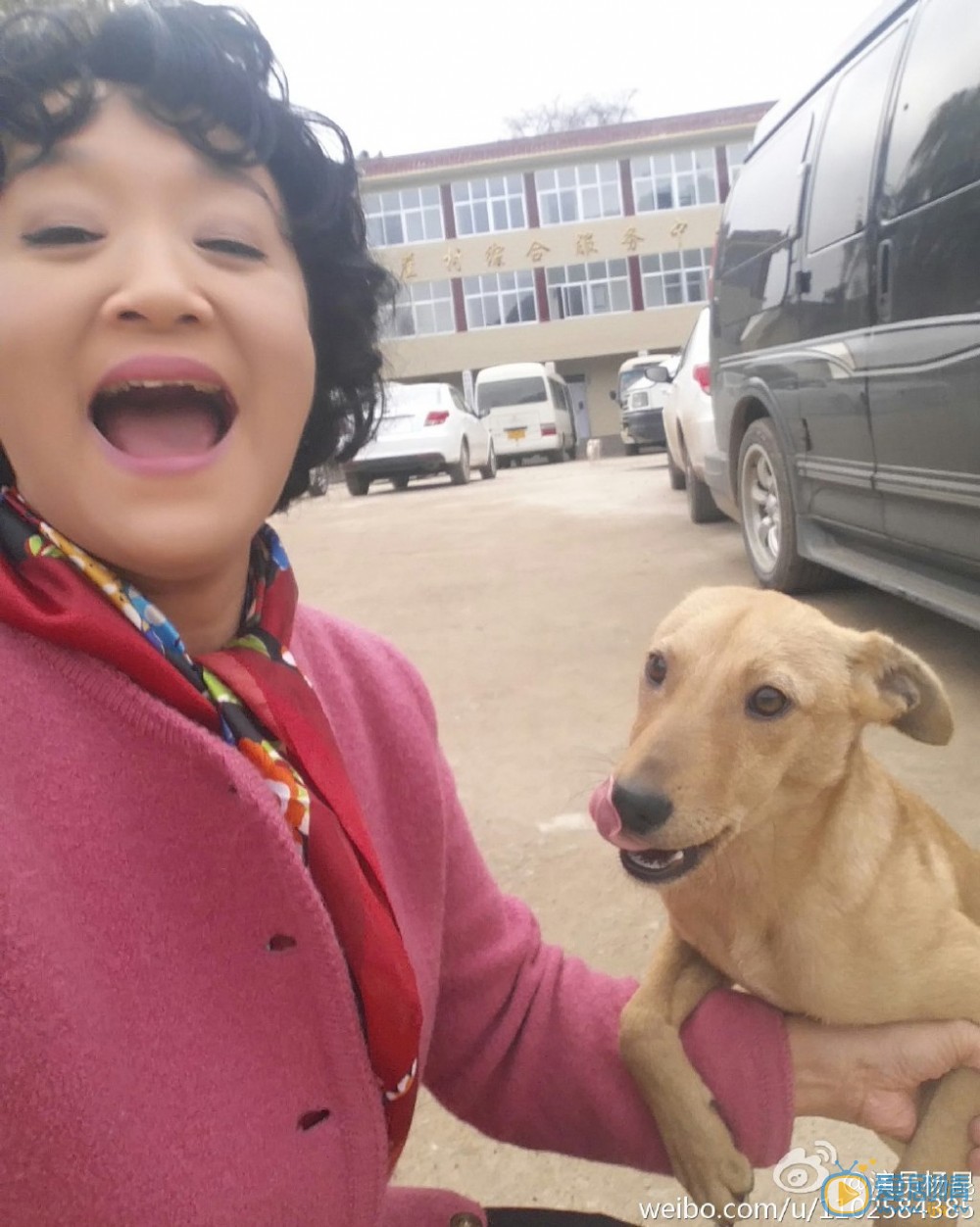 杨昆个人生活 杨昆高清写真_杨昆高清剧照