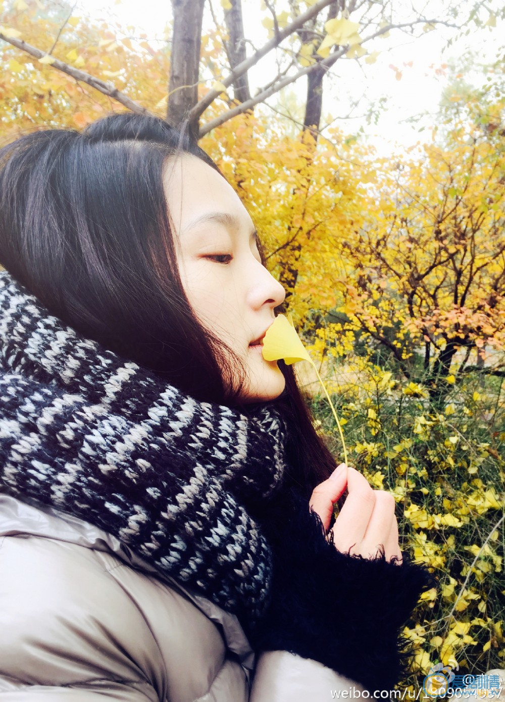 李沁生活照 李沁高清写真_李沁高清剧照