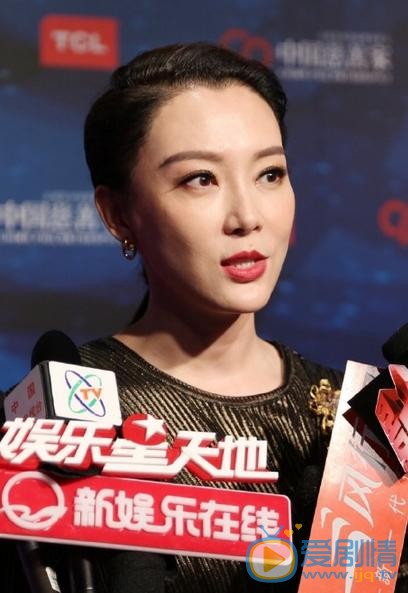陈数活动照 陈数高清写真_陈数高清剧照