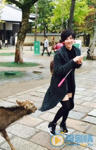 陈小纭和鹿合照 陈小纭高清写真_陈小纭高清剧照