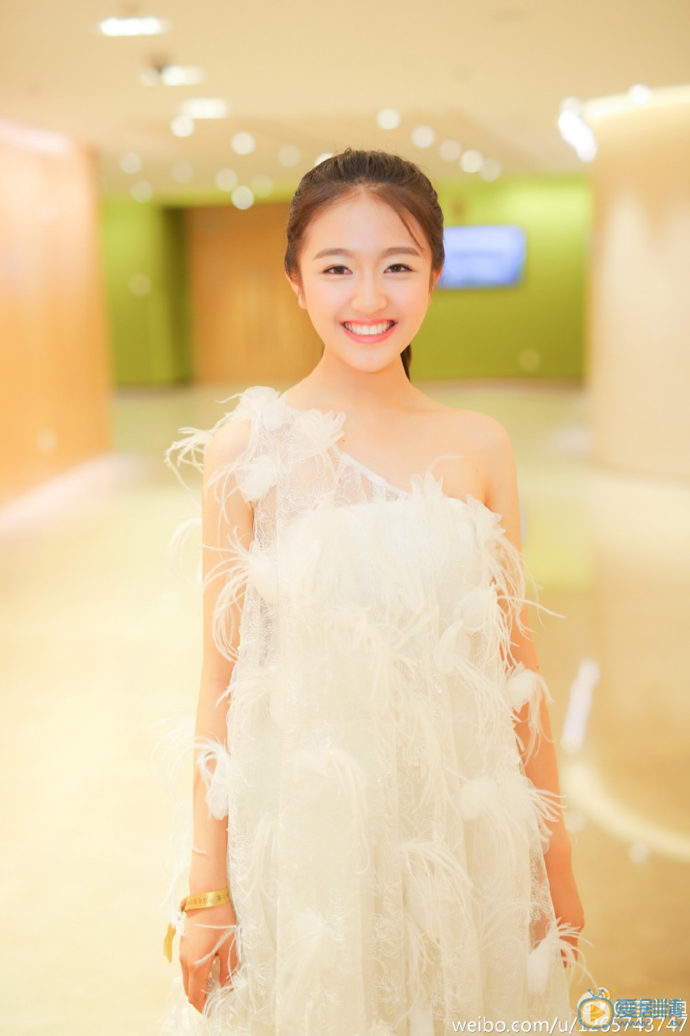 李兰迪活动照 李兰迪出席活动照