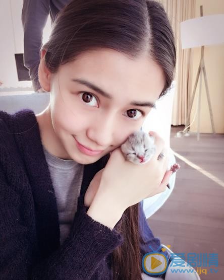 Angelababy和猫咪亲密照 Angelababy高清写真_Angelababy高清剧照