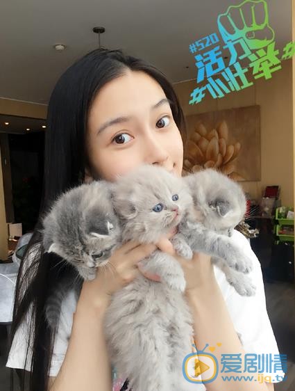 Angelababy和猫咪亲密照 Angelababy高清写真_Angelababy高清剧照