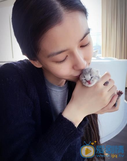 Angelababy和猫咪亲密照 Angelababy高清写真_Angelababy高清剧照