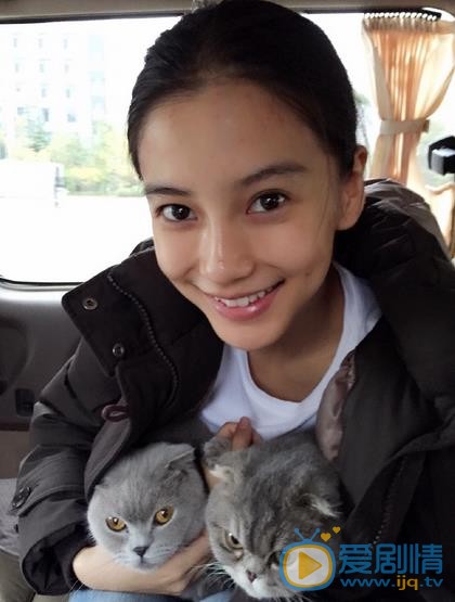 Angelababy和猫咪亲密照 Angelababy和猫咪亲密照