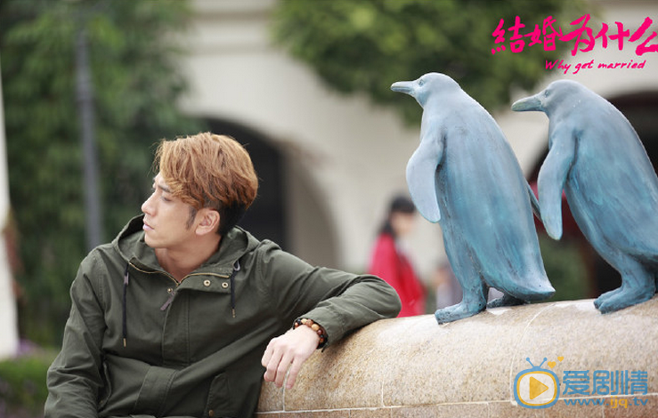 结婚为什么王路易剧照