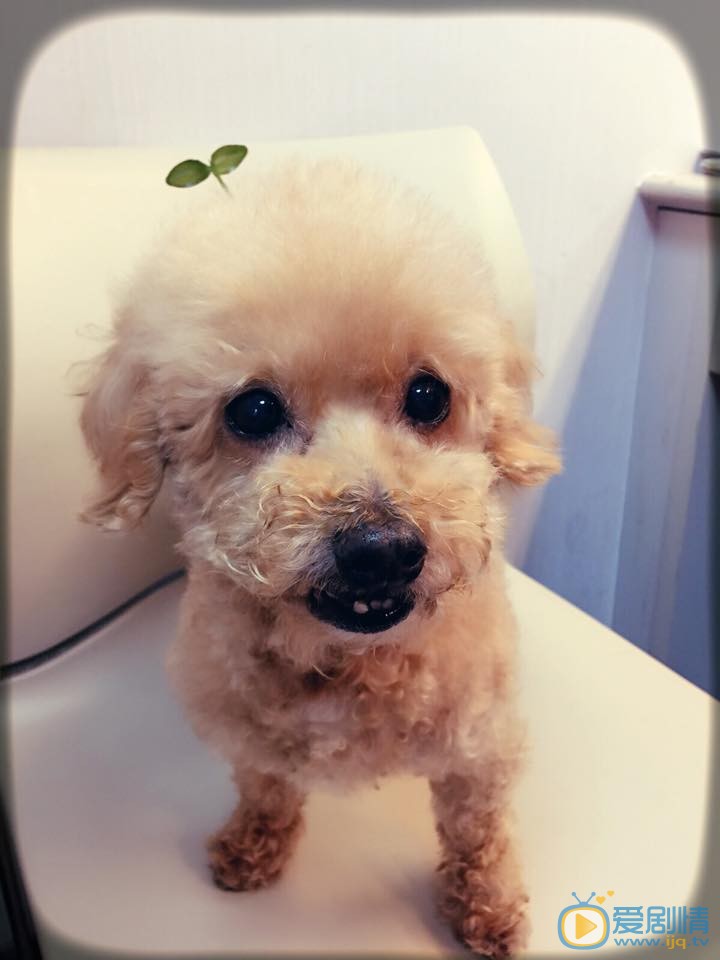 任家萱温情生活 任家萱高清写真_任家萱高清剧照