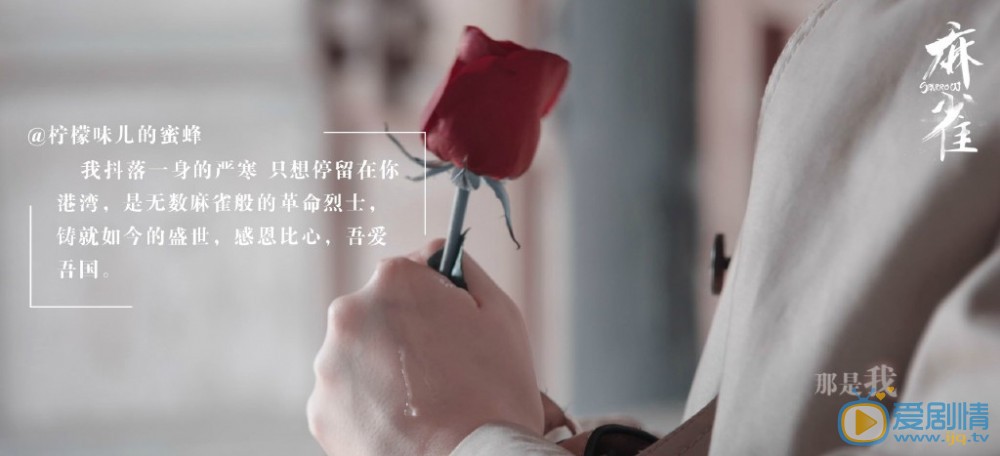 麻雀分集剧情 麻雀剧照