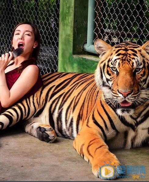 叶一云和动物写真照 叶一云高清写真_叶一云高清剧照