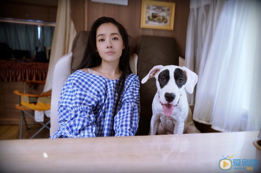 郭碧婷萌宠写真 郭碧婷高清写真_郭碧婷高清剧照