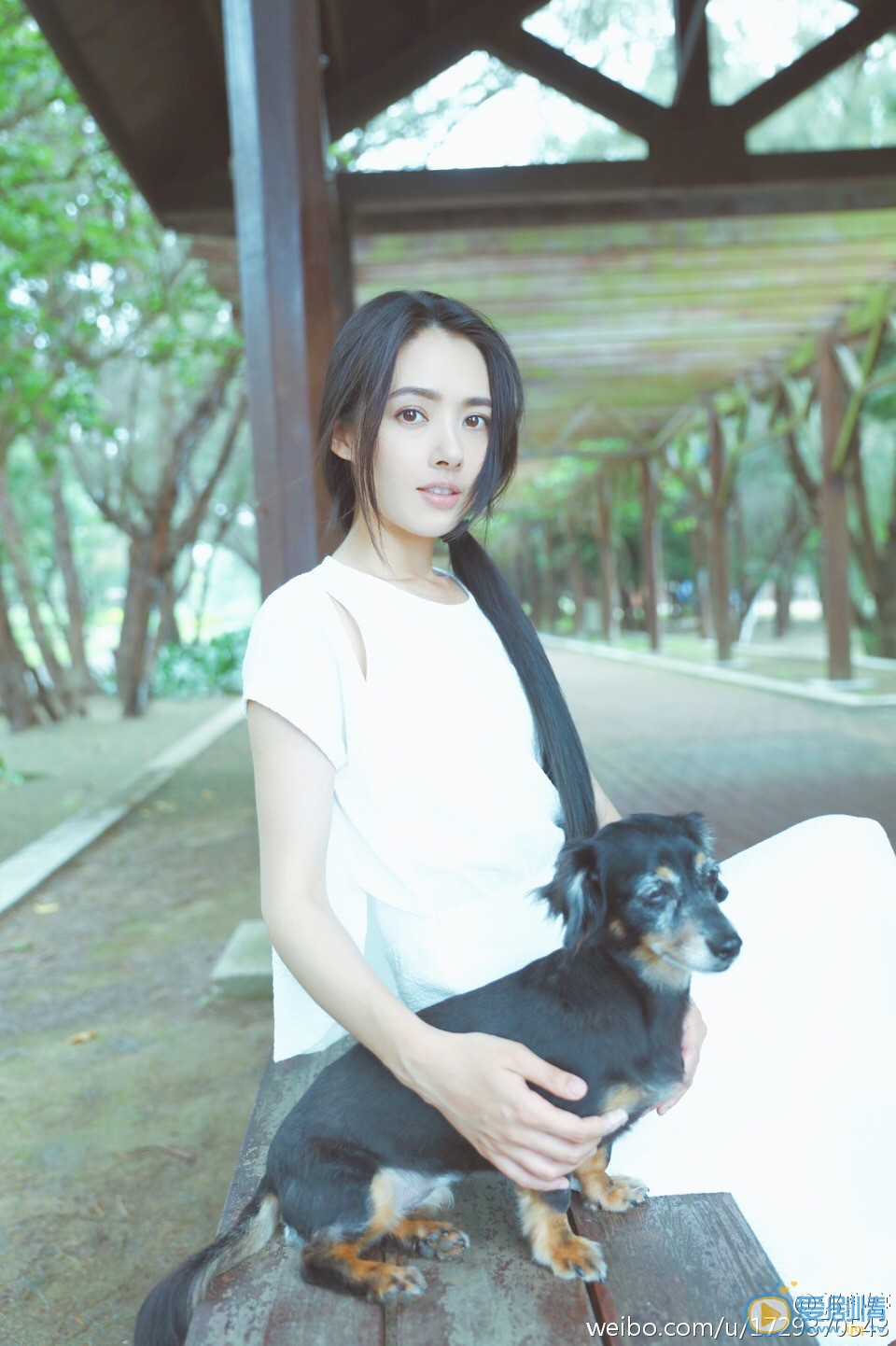 郭碧婷萌宠写真 郭碧婷高清写真_郭碧婷高清剧照