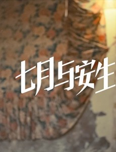 七月与安生里安生的男友老赵去哪了？安生是怎么找到稳定工作住到不错的房子呢