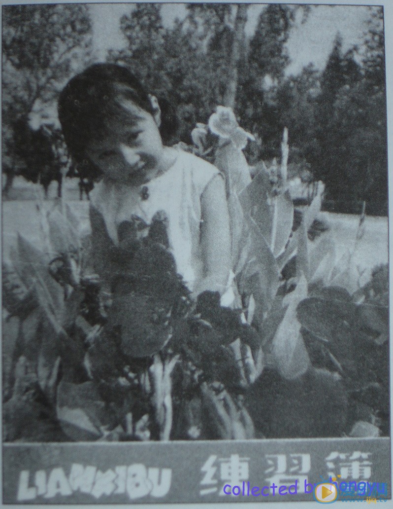 袁泉青葱岁月 袁泉高清写真_袁泉高清剧照