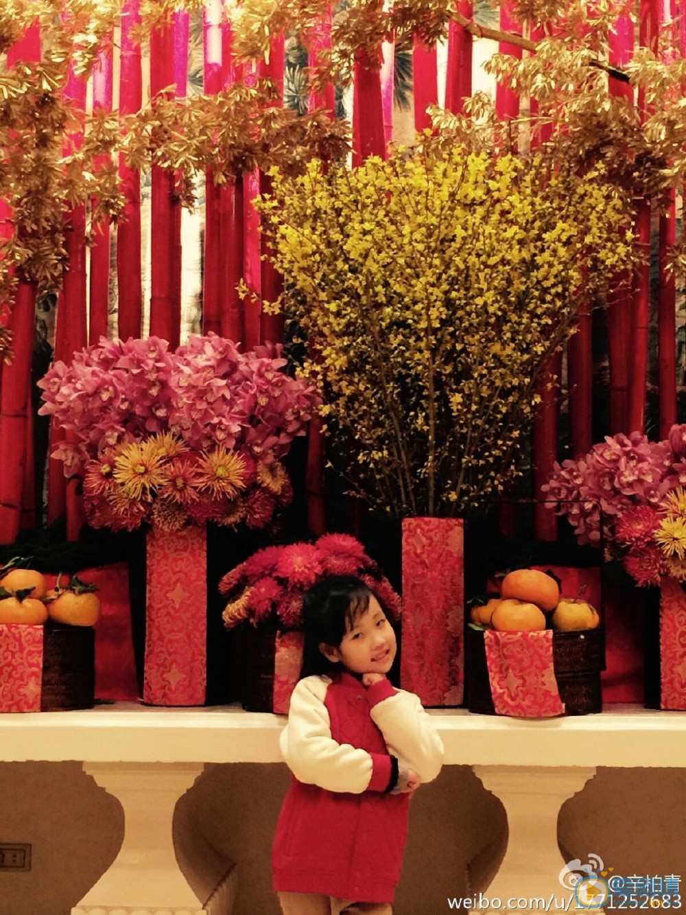 辛柏青结婚照 辛柏青高清写真_辛柏青高清剧照