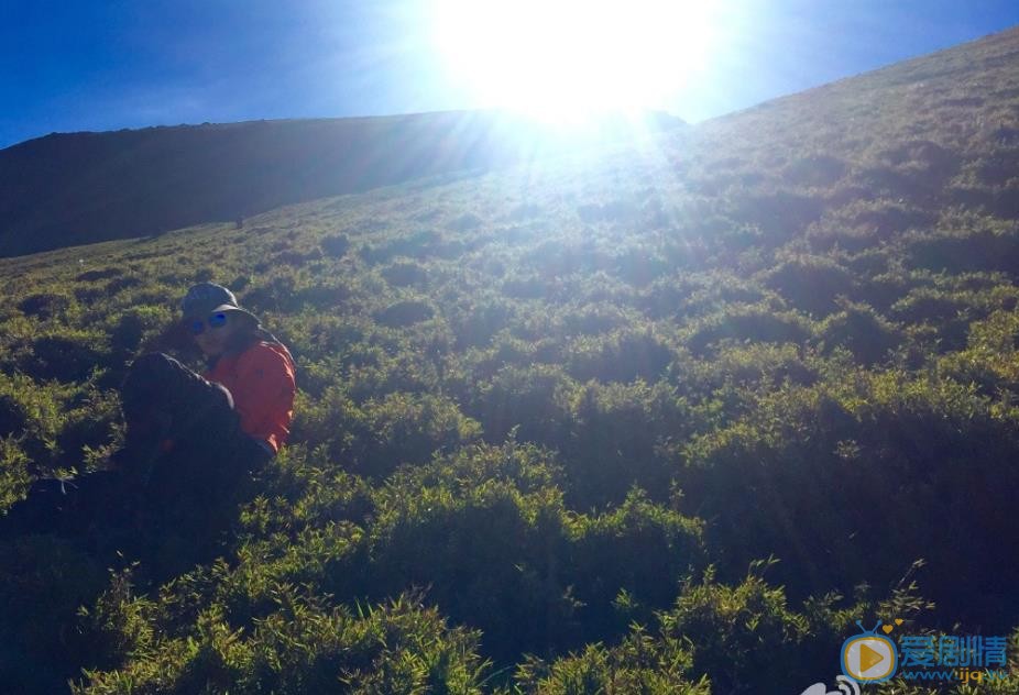 陈奕旅行照 陈奕高清写真_陈奕高清剧照