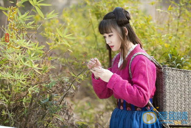 兰陵王妃桃花剧照 