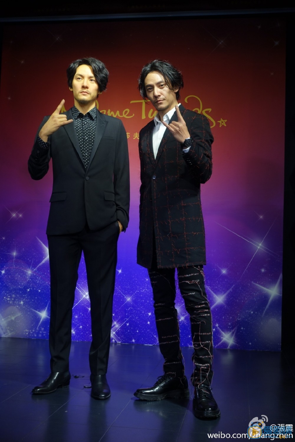 张震活动照 张震高清写真_张震高清剧照