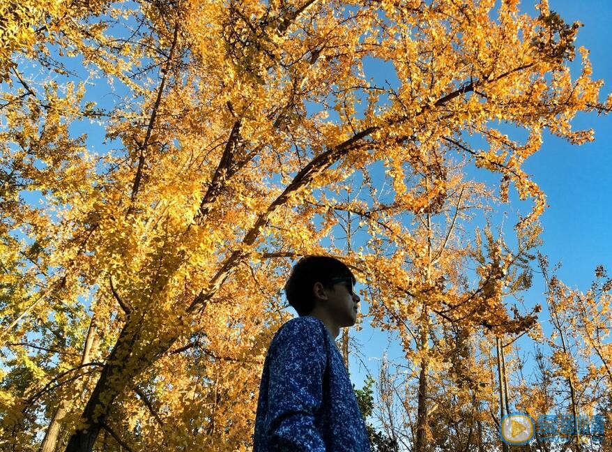 张杰生活照 张杰高清写真_张杰高清剧照