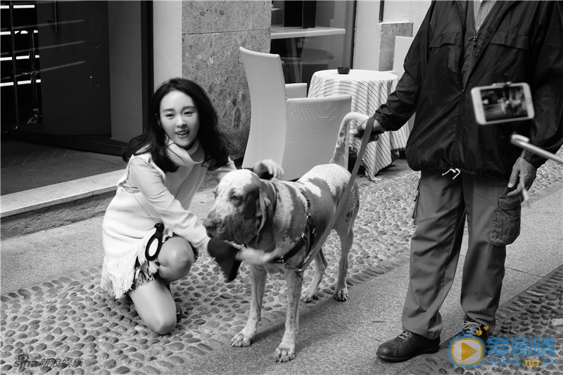 童瑶帅气写真 童瑶高清写真_童瑶高清剧照