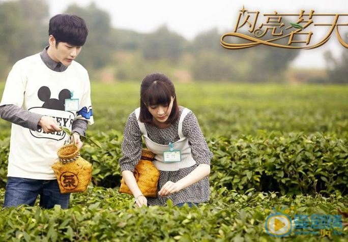 潘之琳《闪亮茗天》剧照 潘之琳高清写真_潘之琳高清剧照
