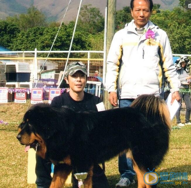 黄贯中合照 黄贯中高清写真_黄贯中高清剧照