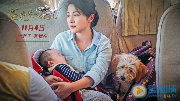 盛先生的花儿棉花剧照
