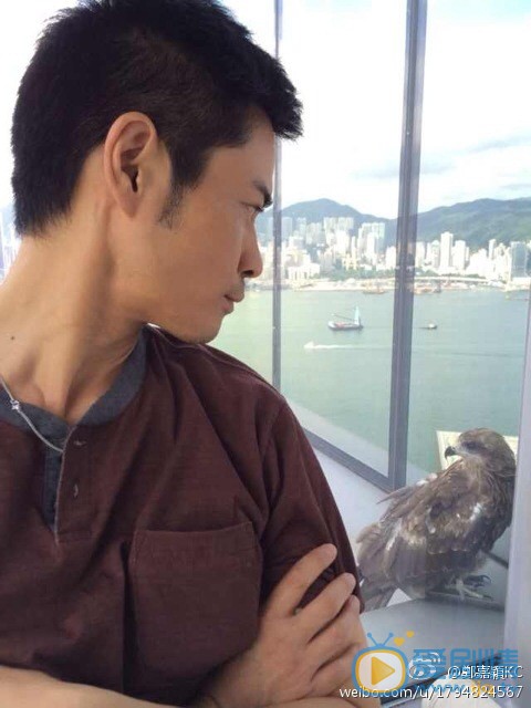 郑嘉颖生活照 郑嘉颖高清写真_郑嘉颖高清剧照