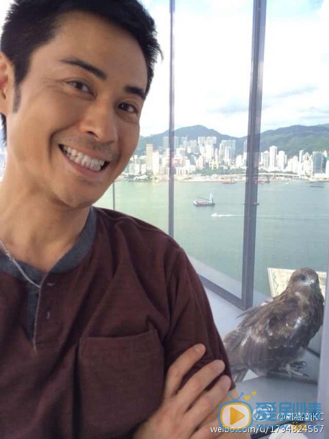 郑嘉颖生活照 郑嘉颖高清写真_郑嘉颖高清剧照