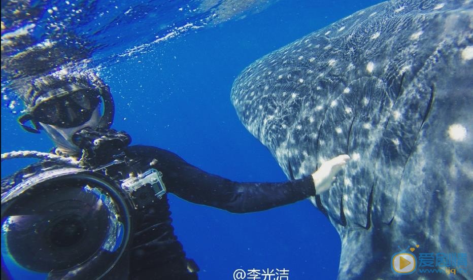 李光洁潜水照 李光洁高清写真_李光洁高清剧照
