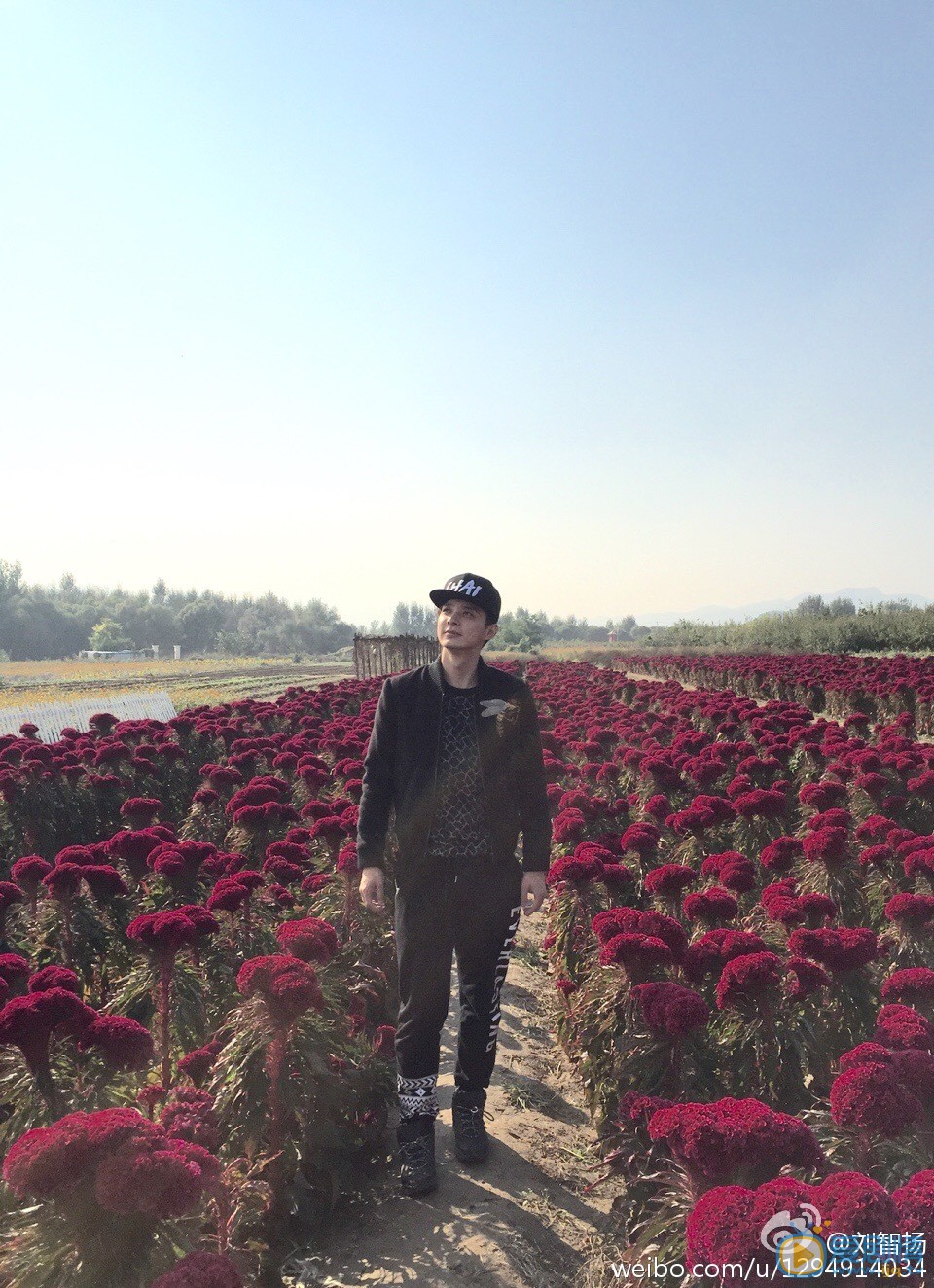 刘智扬旅行照 刘智扬高清写真_刘智扬高清剧照