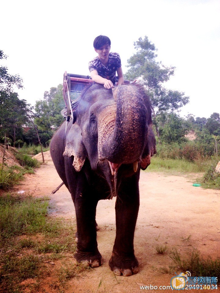 刘智扬旅行照 刘智扬高清写真_刘智扬高清剧照