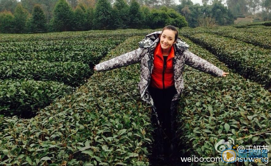 王妍苏旅行照 王妍苏高清写真_王妍苏高清剧照