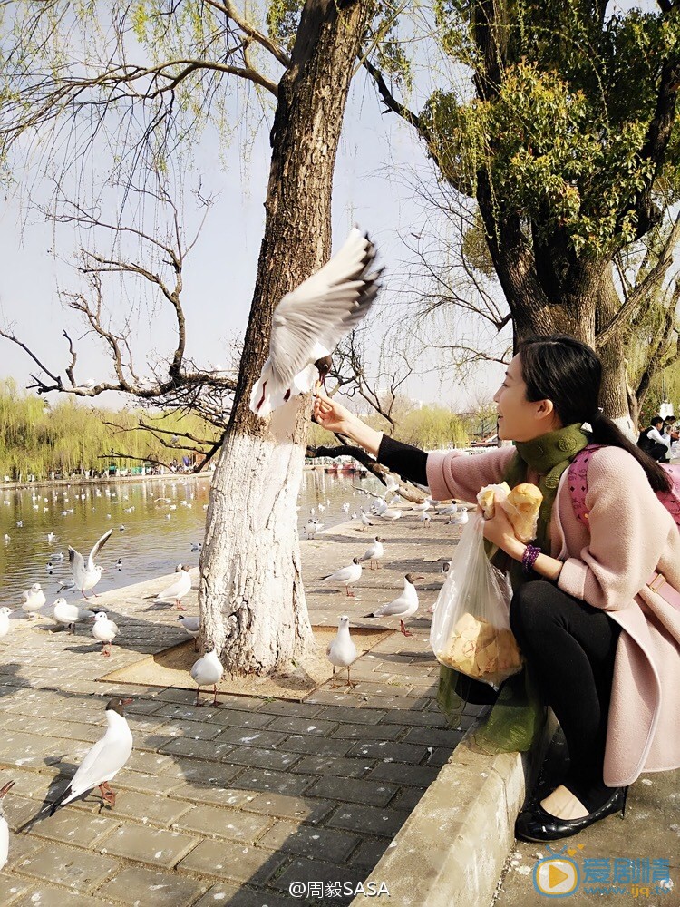 周毅旅行玩乐照 周毅高清写真_周毅高清剧照