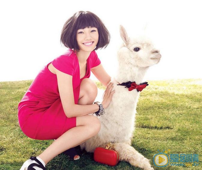 白百何时尚写真 白百何高清写真_白百何高清剧照