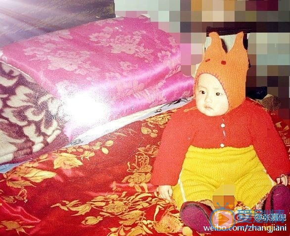 张嘉倪童年生活 张嘉倪高清写真_张嘉倪高清剧照