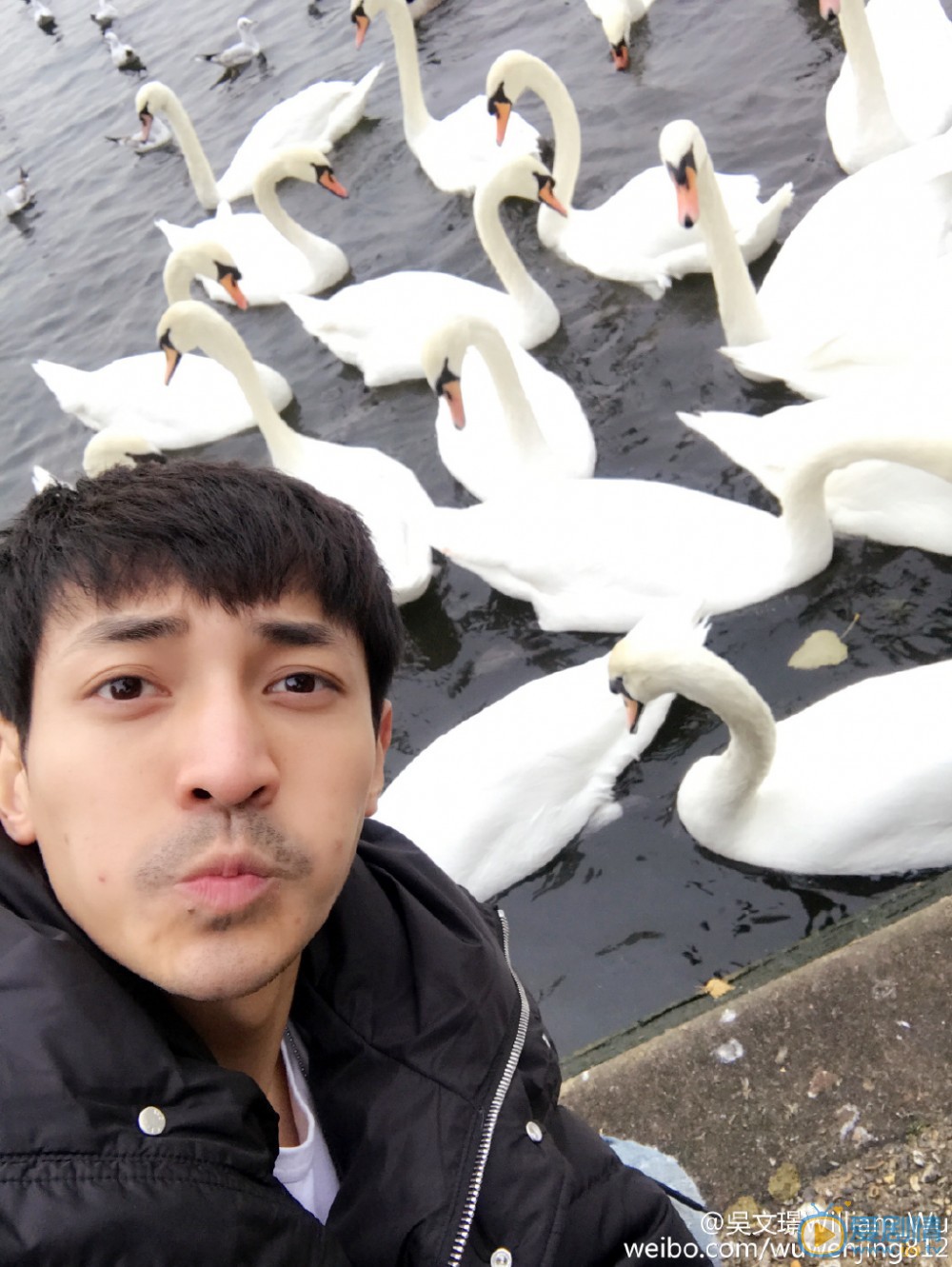 吴文璟逗逼表情包 吴文璟高清写真_吴文璟高清剧照