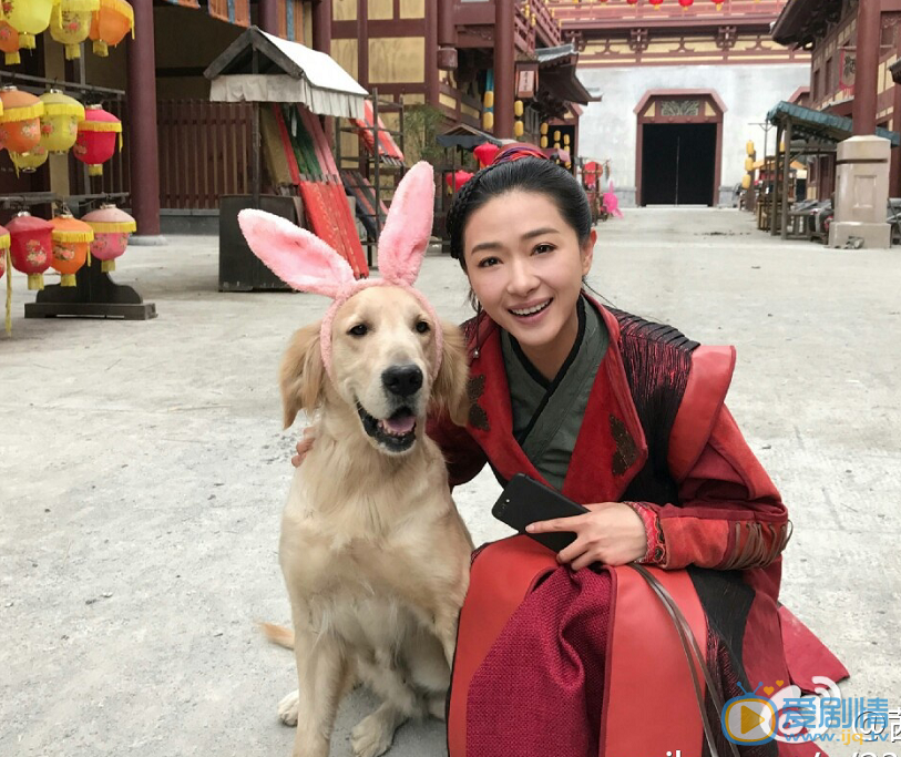 大唐荣耀独孤靖瑶剧照