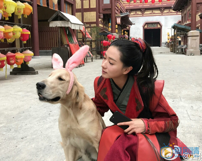大唐荣耀独孤靖瑶剧照 