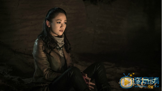 鬼吹灯之精绝古城雪莉杨和精绝女王为什么长得一样？雪莉杨和精绝女王有什么关系？