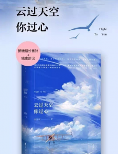 云过天空你过心