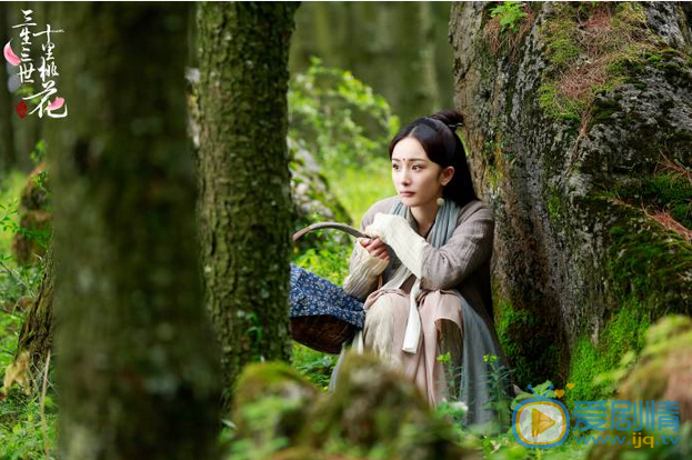 三生三世十里桃花白浅怎么失去记忆的?白浅什么时候恢复记忆的?