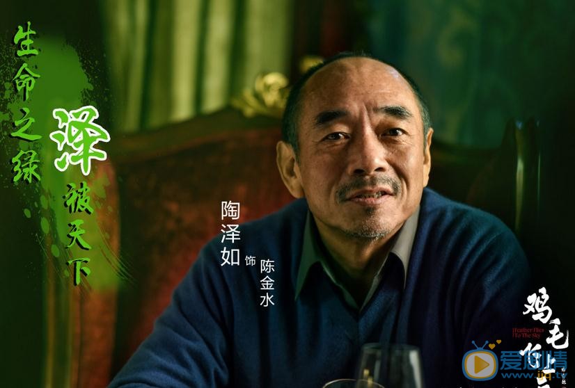 鸡毛飞上天陈金水剧照 