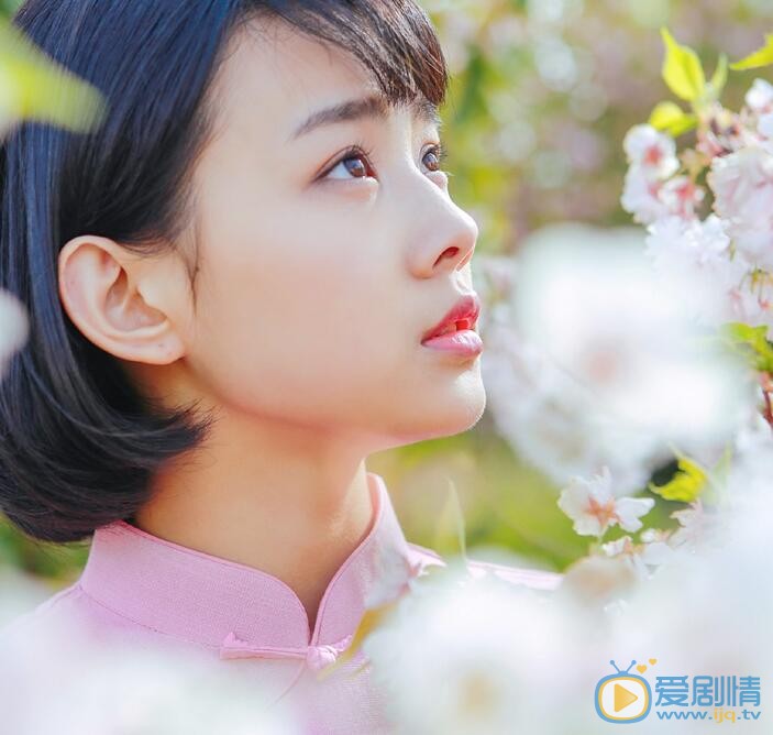 鲁照华樱花写真 鲁照华高清写真_鲁照华高清剧照